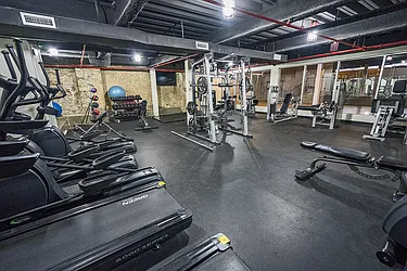 Rented by Level Group