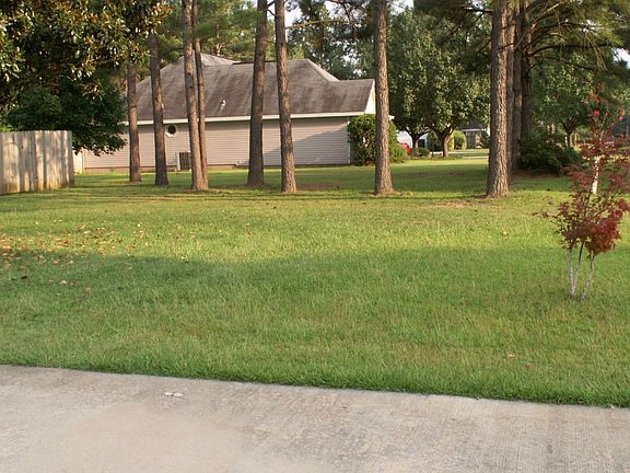 Left  side of yard