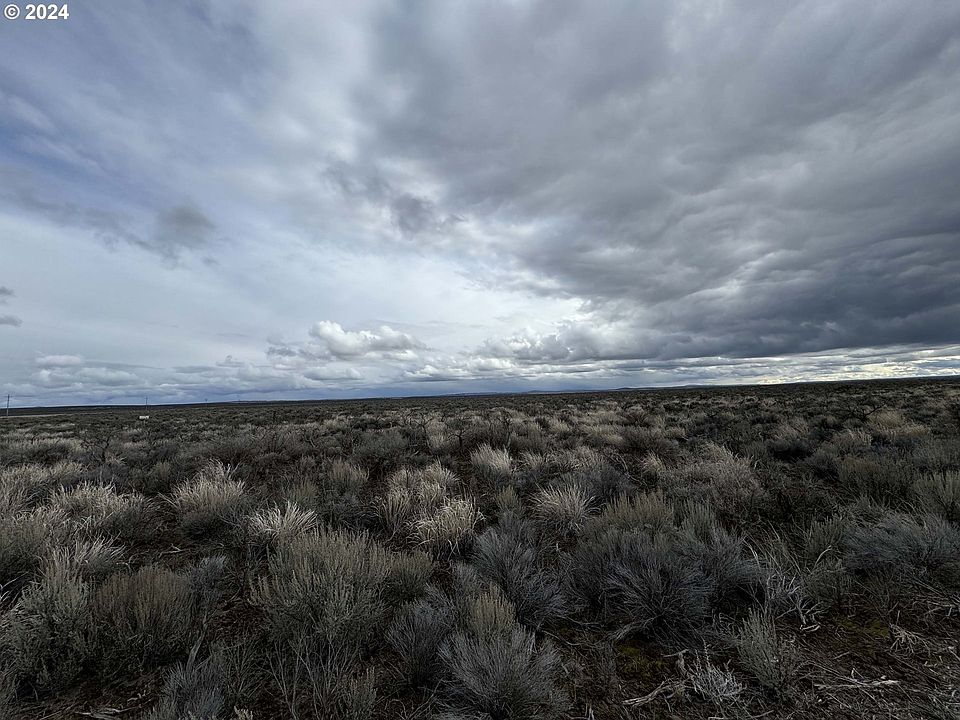 1st image of Lost Forest Ln #800