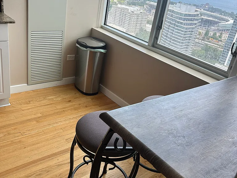 1720 S Michigan Ave #3207 — Photo 15