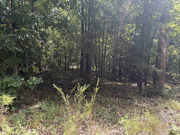 2nd image of 25 Blackfoot Dr