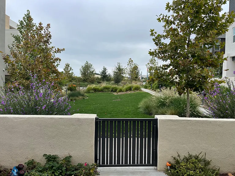 333 Sawbuck — Photo 3
