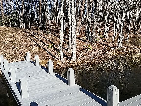 Wooded lot view from dock