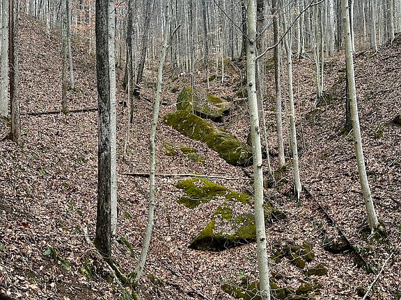 5th image of 0 Little Fork Rd