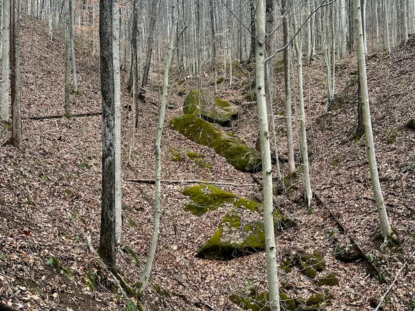 0 Little Fork Rd, Elkview, WV 25071