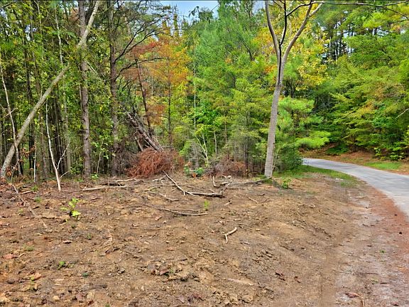3rd image of 0 Old Pinhook Rd