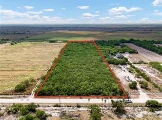 11761 N Bentsen Palm Dr, Mission, TX 78574