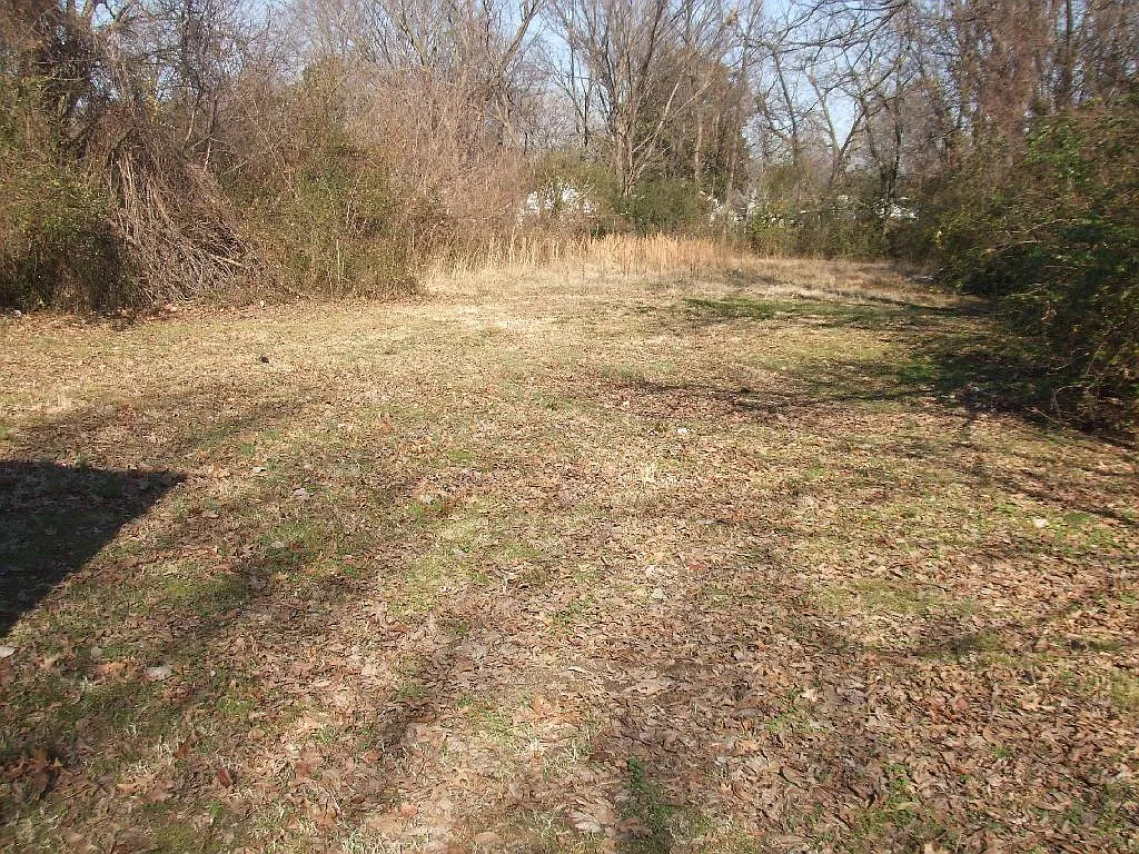 2 bed, 1.0 bath, $850 — Photo 2