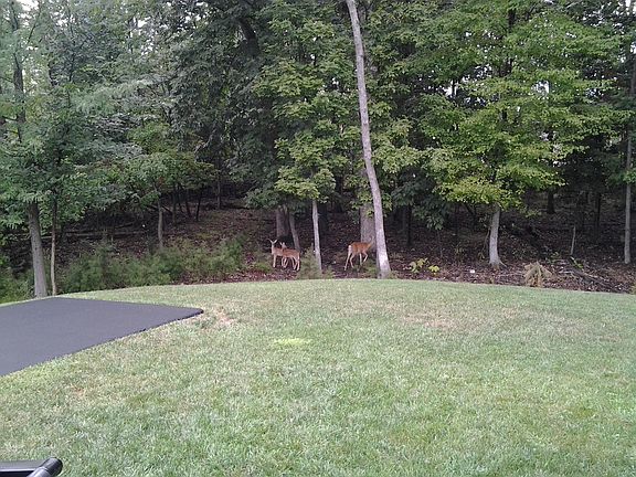 5th image of 14431 Woodwill Ln