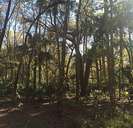 4th image of 614 Old Mill Dr