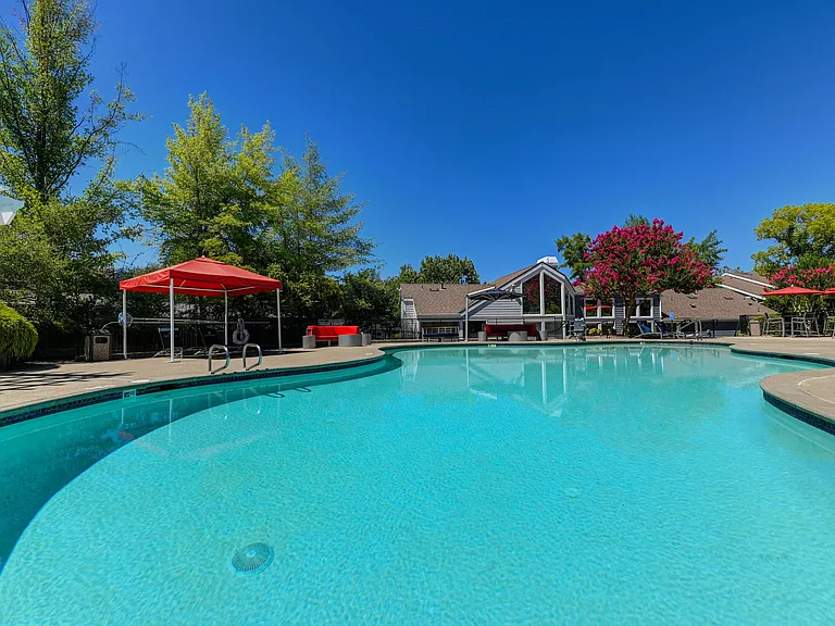 Lake Pointe Pool