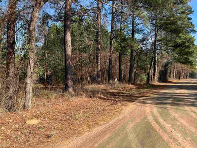 County Road 331, De Berry, TX, 75639