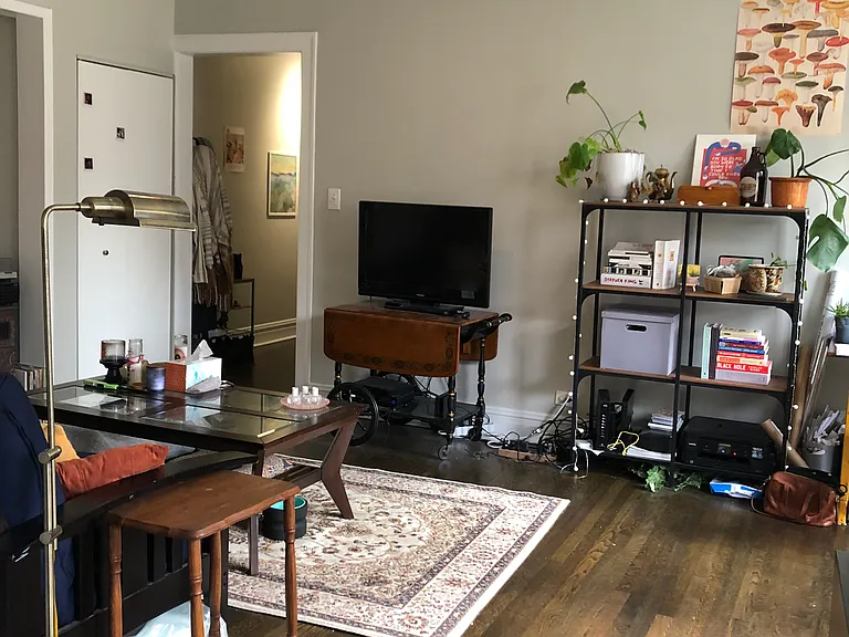 Main room facing south (actual wall/floor color)