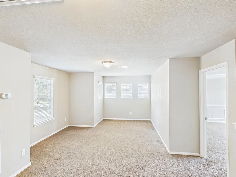 17143 Deaton Mill Dr — Photo 17