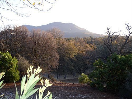 View East