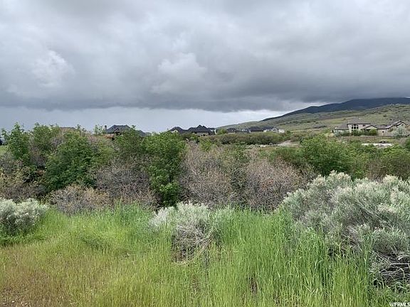2nd image of 12593 N Wildflower Ln