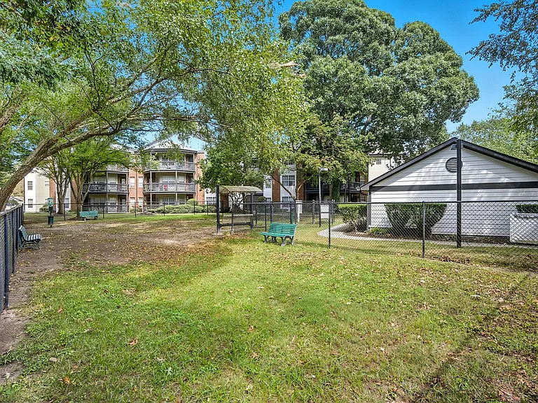 ReNew Little Creek — Photo 27