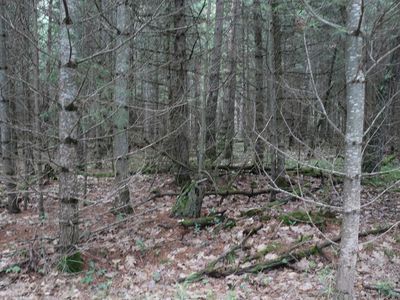 4 Cth J, Mercer, WI, 54547