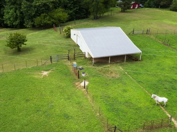 County Road 4203, Crane Hill, AL 35053