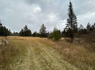 Xxx Orienta Falls Rd, Pt Wing, WI 54865