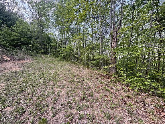 3rd image of 41 Black Maple Way Lot 41