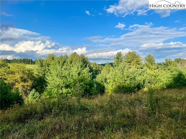 Lot 21 Fox Crest Overlook, Laurel Springs, NC 28644