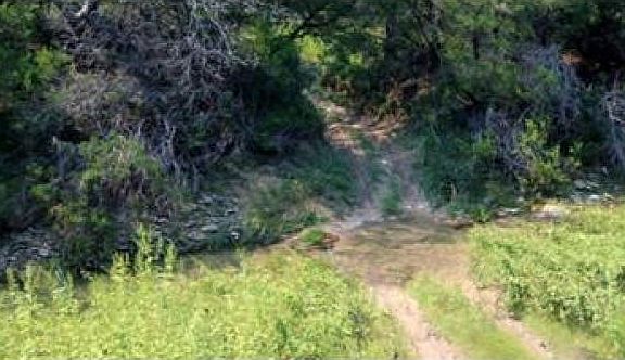 3rd image of 0 County Road 2200