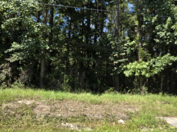 3rd image of Lot 1 Herbert Ln.