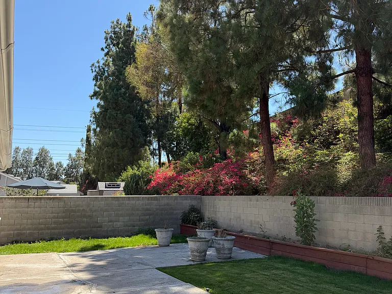 14921 Pinehaven Rd — Photo 31