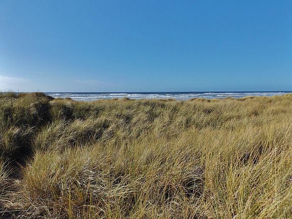 3rd image of 2002 NW Oceania Pl