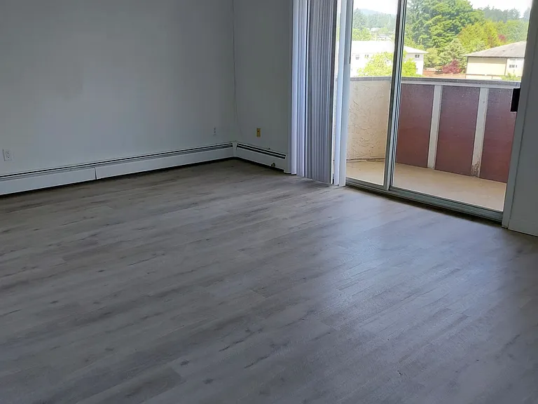 2541 Dingwall St #201 — Photo 24