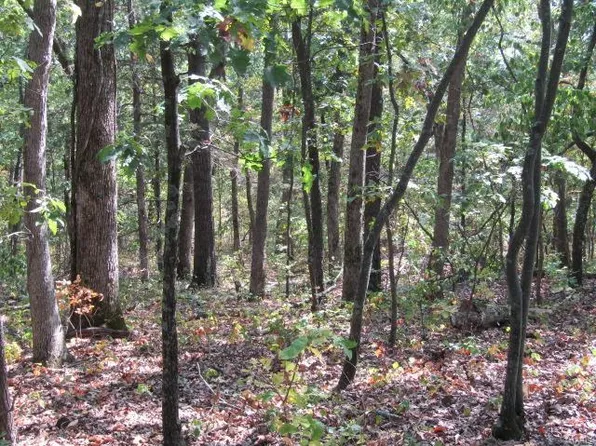 0 S Highway 19, Hermann, MO 65041