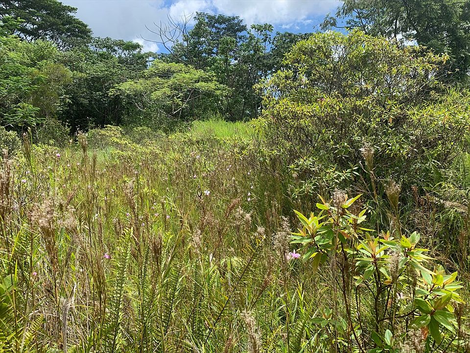 2nd image of Poouli Road Rd #10-lot 5828