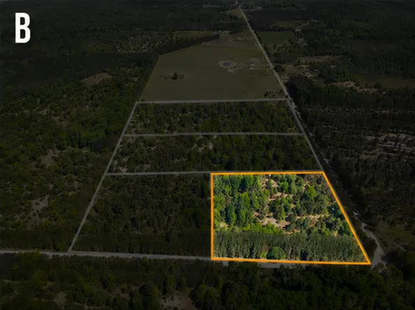 PARCEL Makinen Rd #B, Kaleva, MI 49645