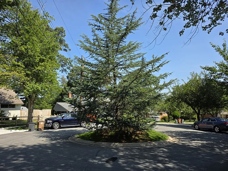 11 Bowie Ct — Photo 10