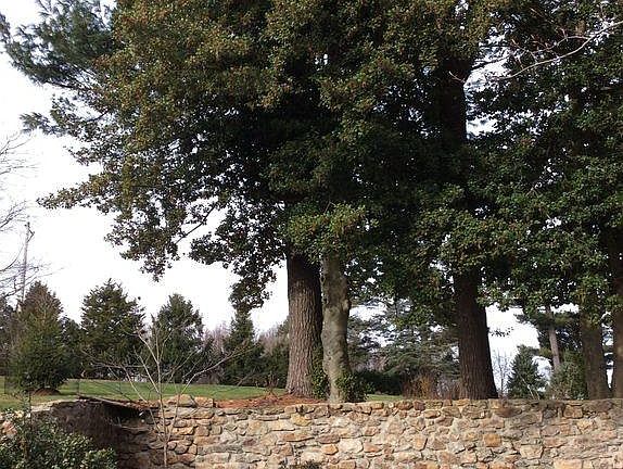 Carriage House Sitting Area