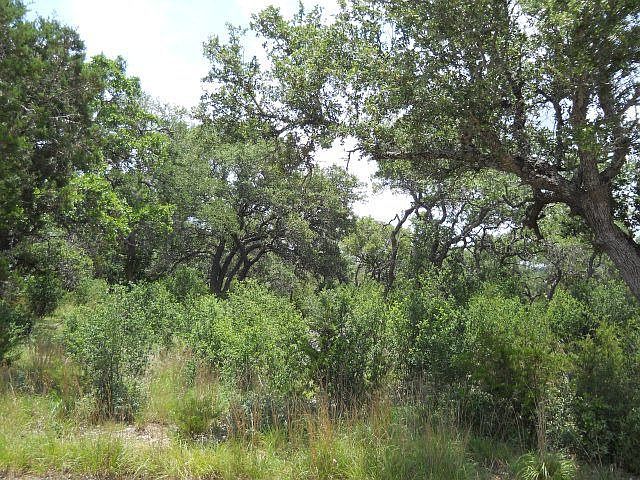 2nd image of 2069 Stallion Springs Dr