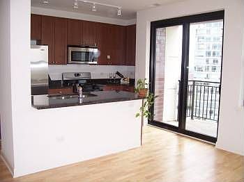 5th image of 451 W Huron St Unit 1501