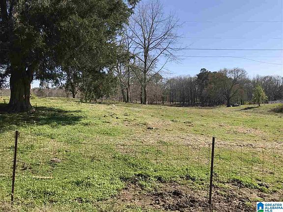 3rd image of Highway 440 County Road 440 5 Acreas Lot 4