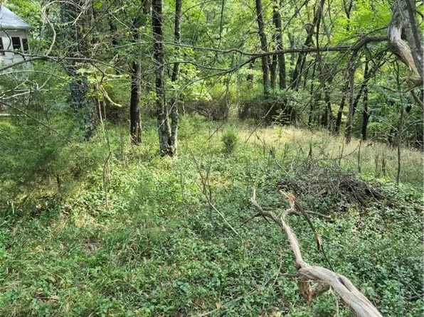 Fritz 21 22 23 See, Eureka Springs, AR 72632