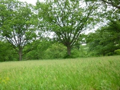 Raymond Ct LOT 18, Platteville, WI, 53818