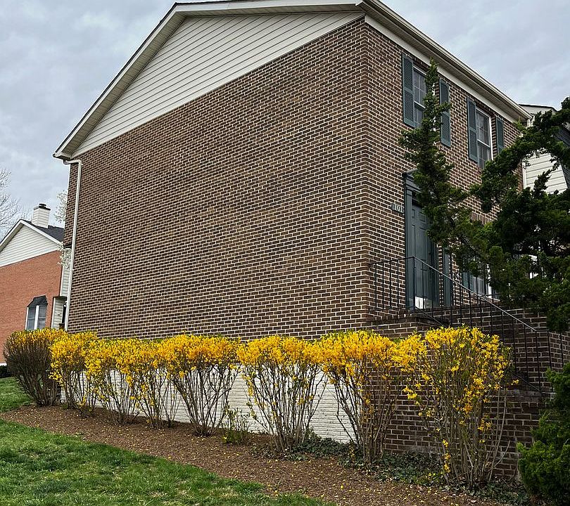 2nd image of 101 Tudor Dr