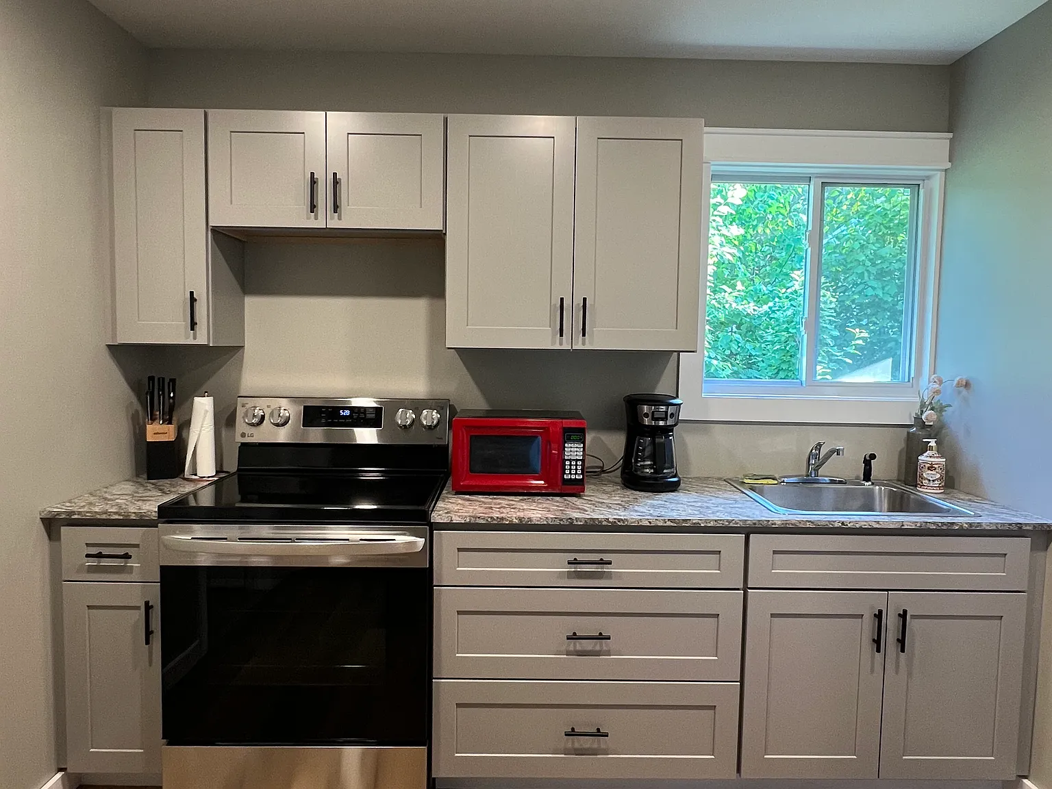 1 bed, 600 sqft, $800 — Photo 3