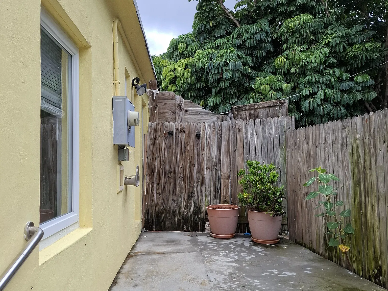 1 bed, $1,600 — Photo 2