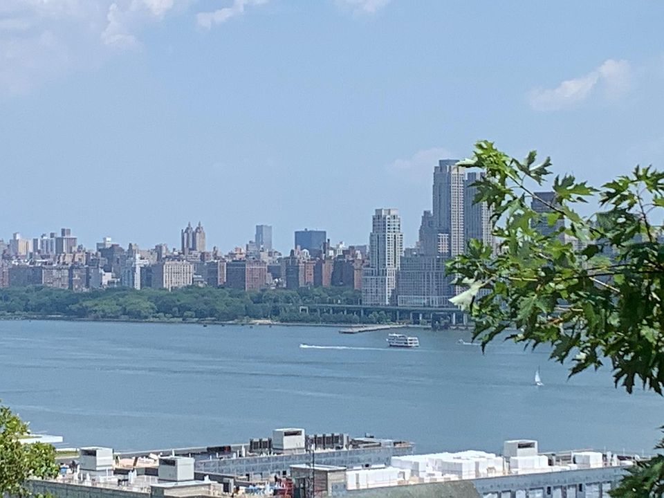 Views from the living room!