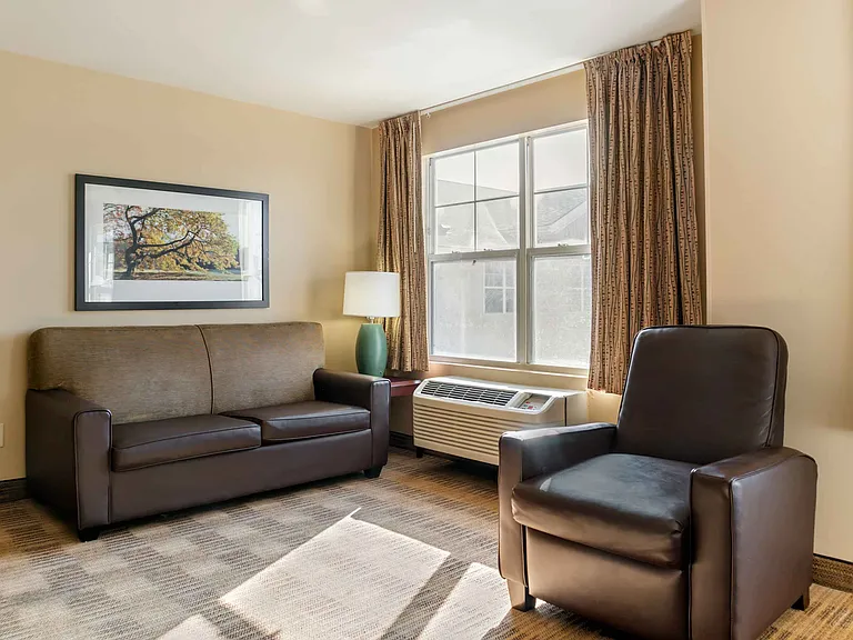 1 Bedroom Suite - 1 King Bed