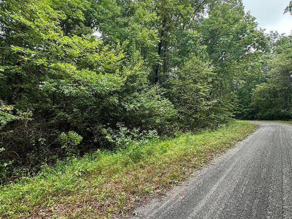 1st image of Black Wolf Dr