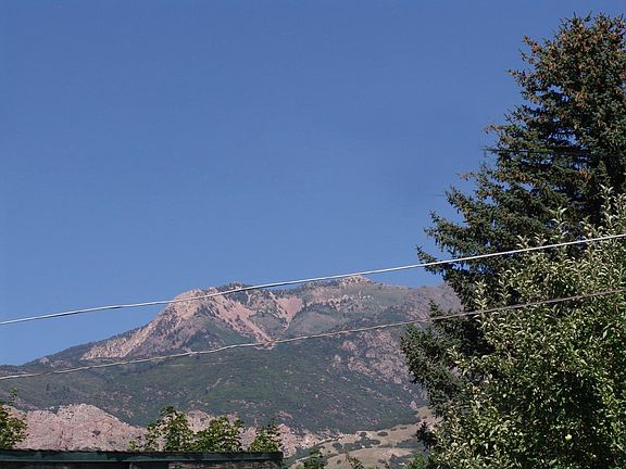 Backyard View