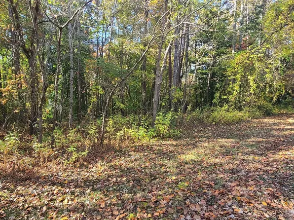 LOT 6 Amber Oaks Dr, Rutherfordton, NC 28139