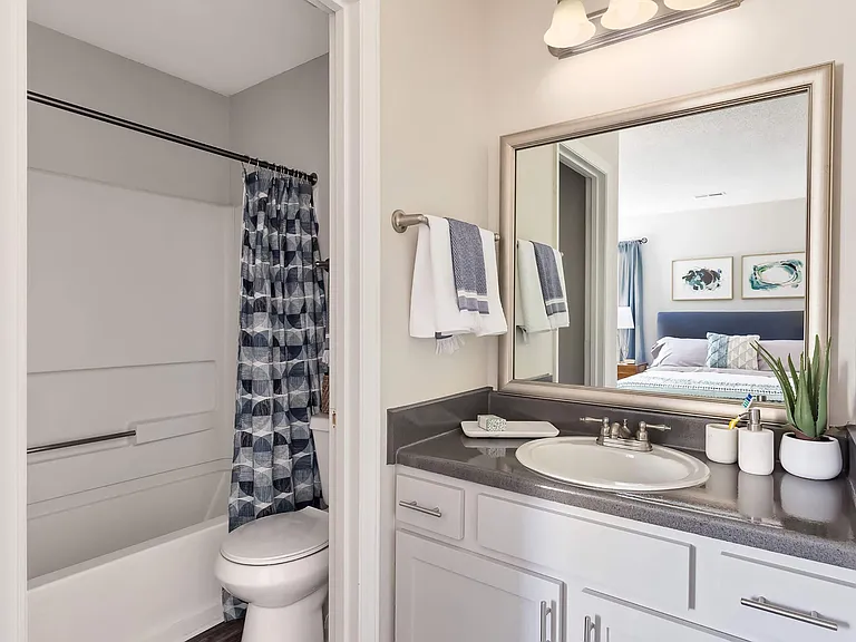 En-Suite Bathroom with Bathtub and Large Framed Mirror - Diamond Interior